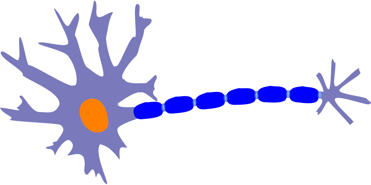 八年级生物细胞的生活知识点,初中生物细胞的生活教学设计