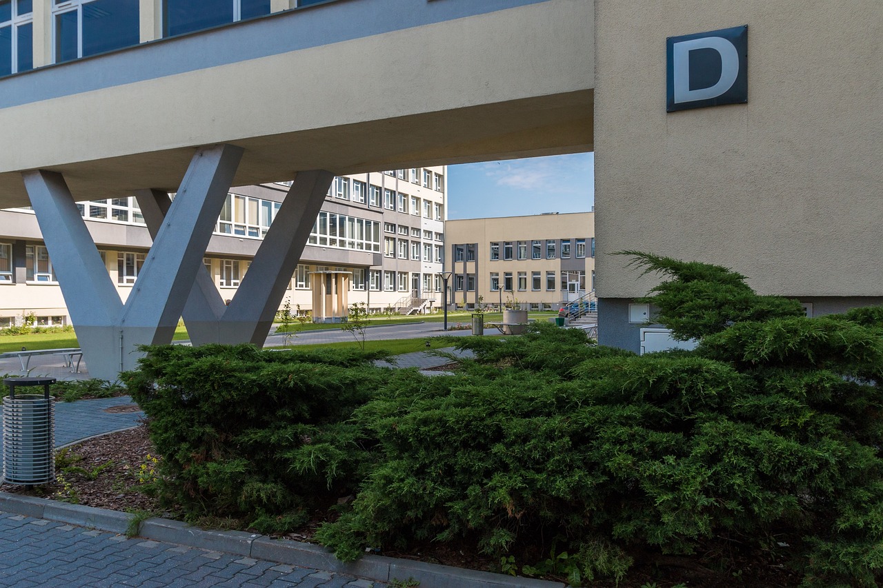 如何进一步加强高等学校学术道德与学风建设.如何进一步加强高等学校学术道德与学风建设