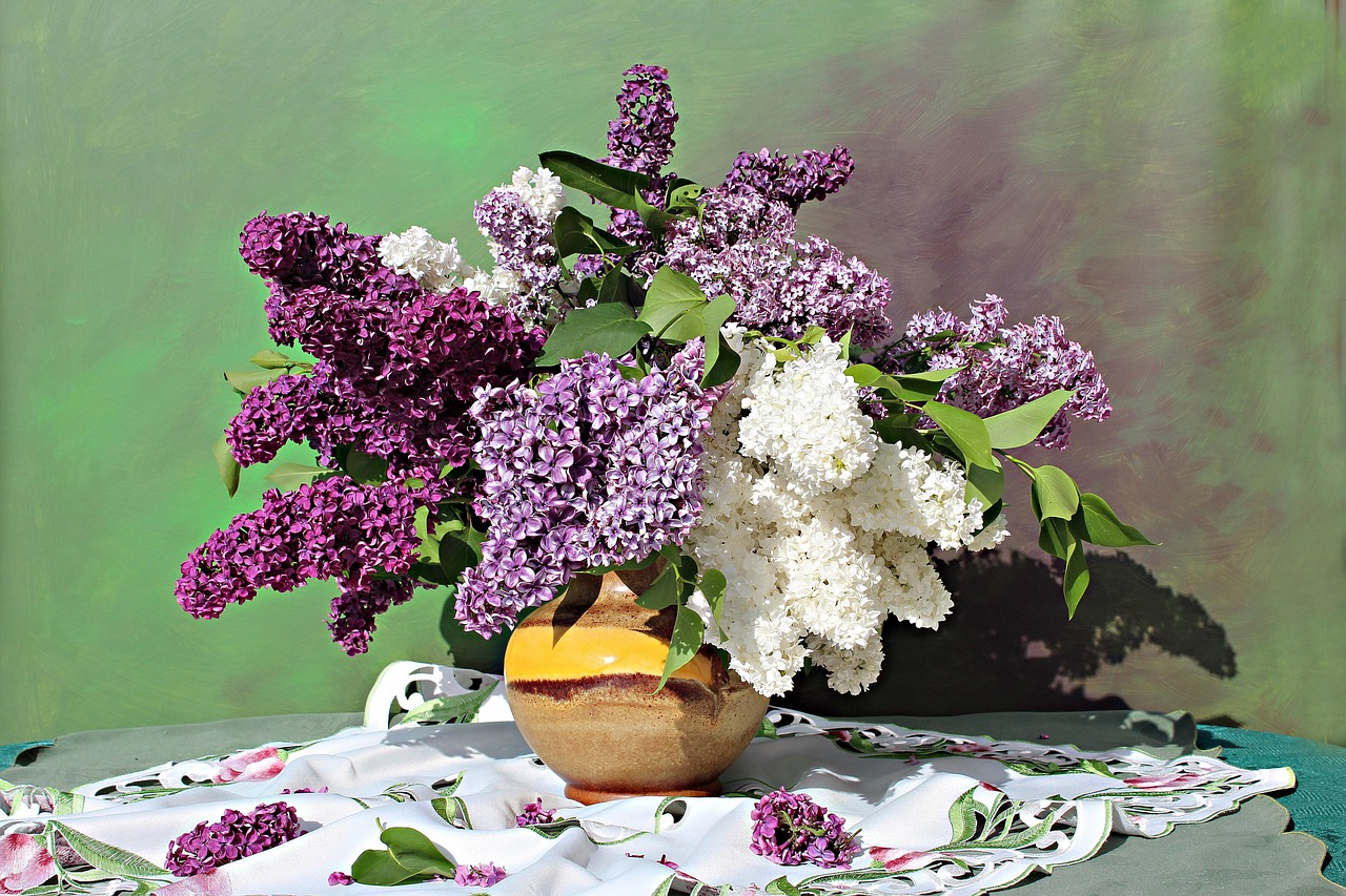 为什么花店都卖紫丁香花,紫丁香花有毒吗