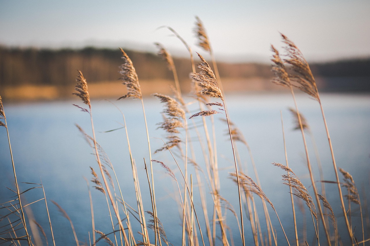 关于健康的古诗句.关于健康的古诗句子 关于健康的古诗句.关于健康的古诗句子
