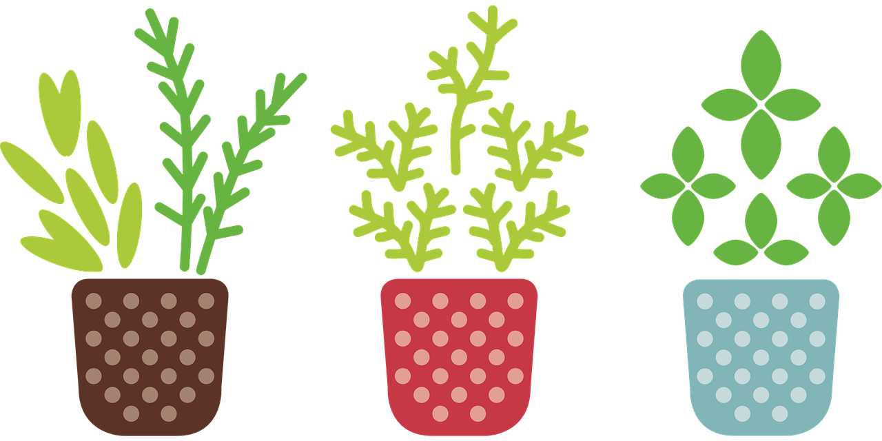 四下科学植物的生长变化试题〃四年级科学下册植物的一生 四下科学植物的生长变化试题〃四年级科学下册植物的一生