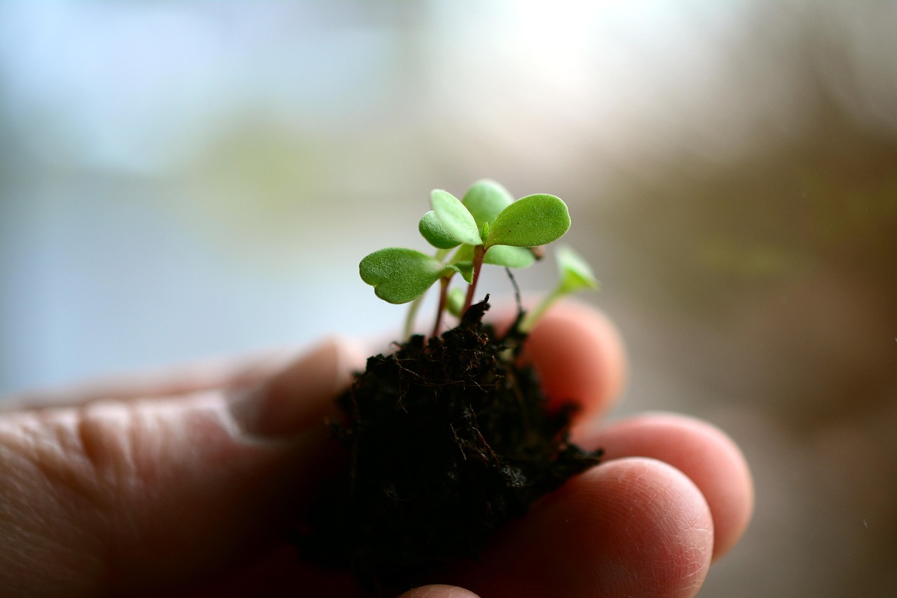 搜集关于花的成语	。越多越好。.关于花的词语大全