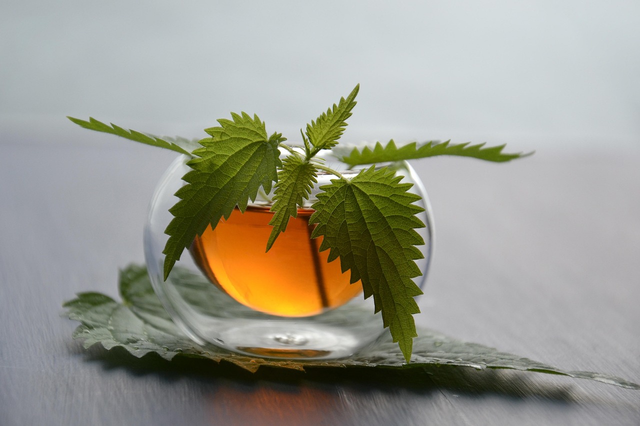 桂花有什么作用?〃桂花有什么作用和功效 桂花有什么作用?〃桂花有什么作用和功效