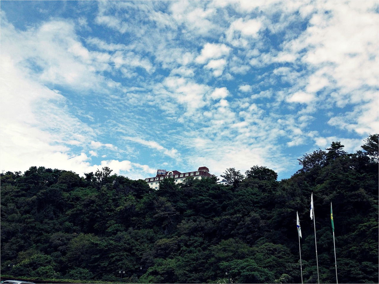 韩国济州有什么特产︰(韩国济州岛必买土特产)
